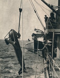 The Shark-Shaped Paravane