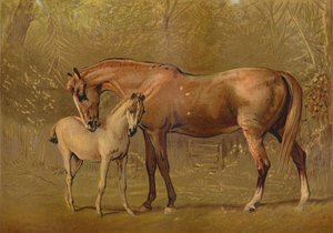 Thoroughbred Mare & Foal, 1879
