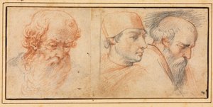 Three Head Studies by Unbekannt