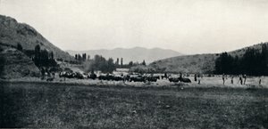 Threshing Corn in the Ancient Manner, 1911 by Unbekannt