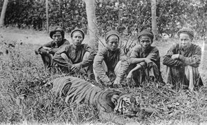 Tiger Hunters, Tonkin, Vietnam