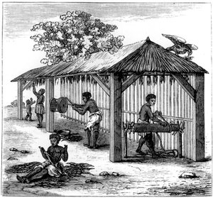 Tobacco preparation, 1873 by Unbekannt