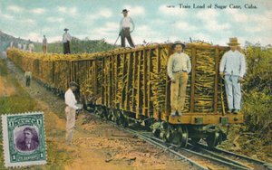 Train Load of Sugar Cane, Cuba