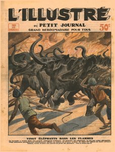Twenty Elephants in the Flames by Unbekannt