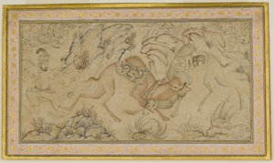 Two Camels Fighting by Unbekannt