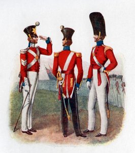 Uniform of the 86th Regiment, 1842, 1904