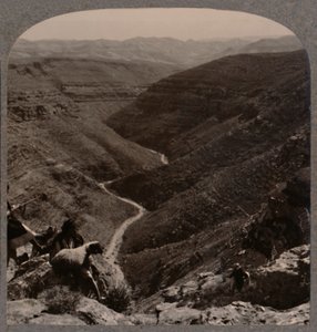 Valley of the Arno, Shepherd and Sheep in Foreground, c1900 by Unbekannt