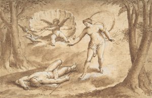 Venus Discovering the Death of Adonis, 17th Century by Unbekannt