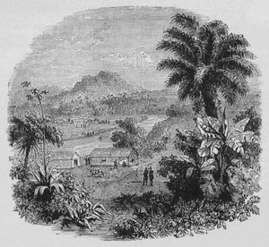 View in Cayenne by Unbekannt