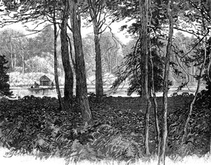 View in Claremont Park, Surrey