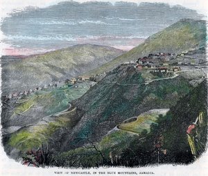 View of Newcastle, in the Blue Mountains, Jamaica