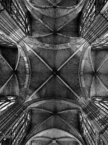 View of the vaults of the nave of the Cathedrale Santa Maria de la Regla