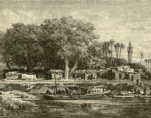 View on the Delta of the Nile, 1890 by Unbekannt