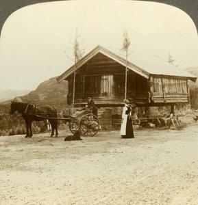 Waiting for passengers on the road near Bolkesjo, Norway by Unbekannt