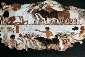 Wall painting from the tomb of Nebarunun, Thebes, Egypt
