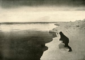Watching for Seals at the Ice-Edge
