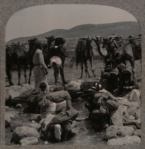 Watering camels at Jacob