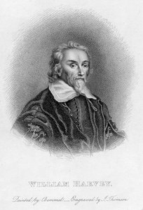 William Harvey 1578-1657 English physician by Unbekannt