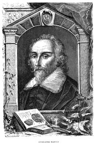William Harvey, English Physician by Unbekannt