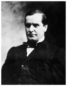 William McKinley, 25th President of the United States, 19th century