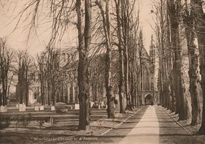 Winchester Cathedral and Avenue, Hampshire