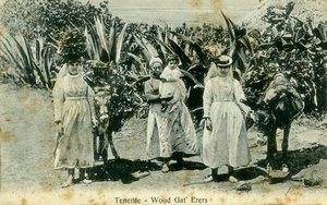 Wood gatherers, Tenerife, Canary Islands, early 20th century by Unbekannt