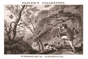 Woodcock-Shooting by Unbekannt