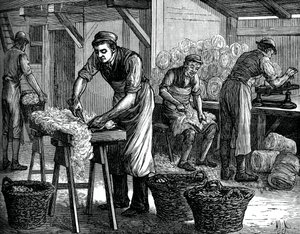 Wool Sorters