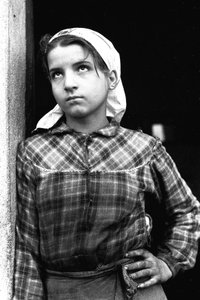 Young girl working as olives picker in Calabria, Italy, c.1955