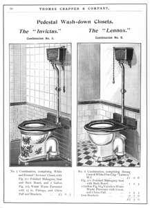 Pedestal toilet models equipped with flush