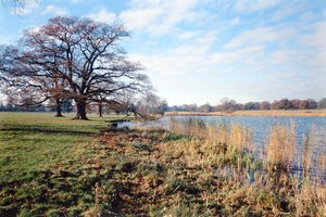 View of the Lake, Corsham Court, Wiltshire
