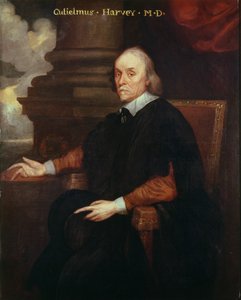 William Harvey (1578-1657) Royal Physician, 17th Century by Unbekannt Unbekannt