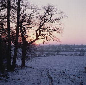 Winter Scene in the Snow, Hockley, Essex