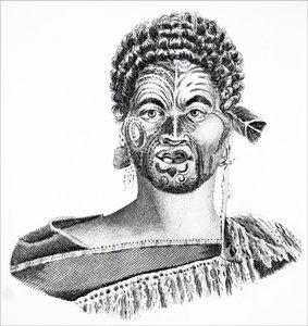 A Maori Chieftain