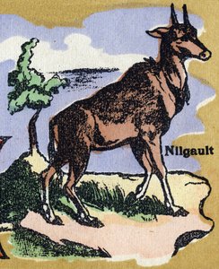 A Nilgault. Illustrated alphabet. Imageries reunited in Jarville-Nancy, beginning of the 20th century