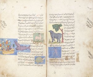 A page from the Persian manuscript "Aja
