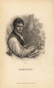 Alexander von Humboldt, German explorer, naturalist and botanist
