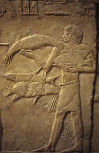 Ancient Egypt: Saqqarah: necropolis of the Old Empire, tomb of noble. Detail of reliefs representing a fisherman by Leopold Blonder