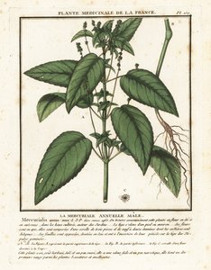 Annual mercury
