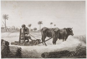 Threshing Machine, Egypt, c. 1798 by Unbekannt