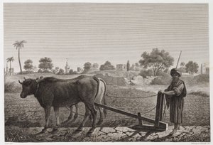 Arable Farming, Ploughing Ploughing with oxen, Egypt, c 1798 by Unbekannt