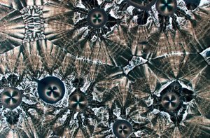 Ascorbic acid/sodium mix