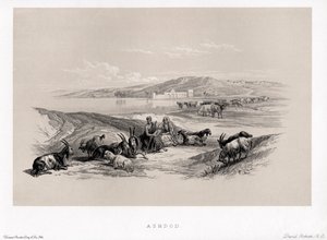 Ashdod by David
