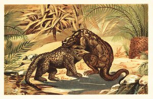 Battle Between a Megalosaurus and Iguanodon by Unbekannter Künstler