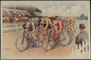 Bicycle race scene