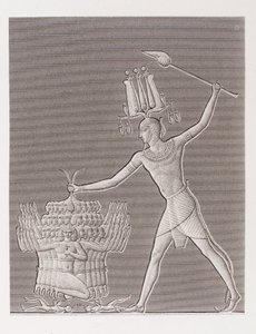 Book: Description of Egypt