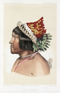 Bororo Chief, South America, c. 1843-1847 by Unbekannt