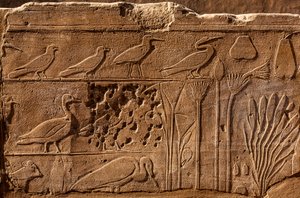 Botanical Garden of Thutmosis III with Relief Depictions of Plants and Animals, Karnak Temple, Luxor, Thebes, Egypt by Unbekannter Künstler