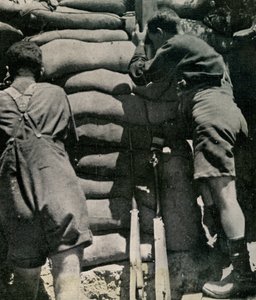 British troops fighting in khaki-drill shorts, Gallipoli Peninsula by Unbekannt