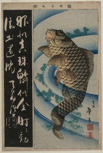 Carp and Waterweeds by Unbekannt